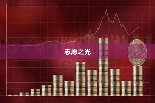 志愿之光